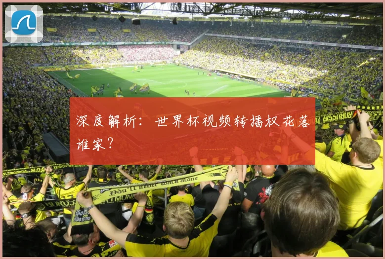 深度解析：世界杯视频转播权花落谁家？