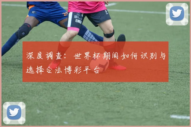 深度调查：世界杯期间如何识别与选择合法博彩平台