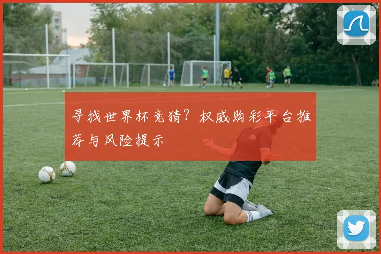 寻找世界杯竞猜？权威购彩平台推荐与风险提示