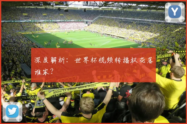 深度解析：世界杯视频转播权花落谁家？