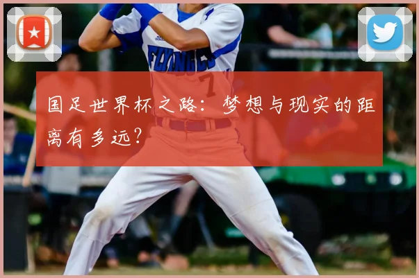 国足世界杯之路：梦想与现实的距离有多远？